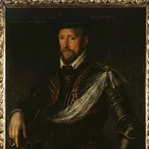 Portrait of Gaspard de Coligny (1519-1572), Admiral of France