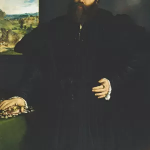 Portrait of a Gentleman, c. 1530 (oil on canvas)