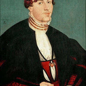 Portrait of a gentleman said the fiance Painting by Lucas Cranach the Elder (1472-1553