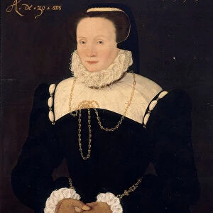 Portrait of a lady, 1575 (oil on panel) (pair to 931091)