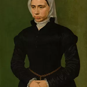 Master of the 1540s