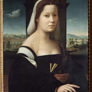Portrait of a Lady (Painting, 16th century)