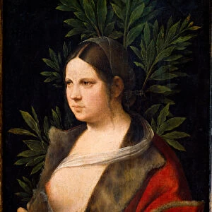 Portrait of Laura de Noves, beloved woman of Petrarch, 15th-16th century (painting)