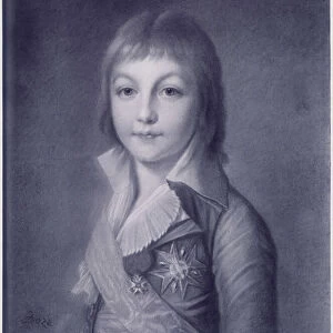 Portrait of Louis Charles, Duke of Normandy, dolphin, future Louis XVII (1785-1795). Painting by Joseph Boze (1745-1826). Private collection (cm 46x36)