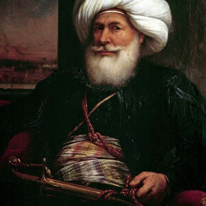 Portrait of Muhammad Ali Pasha, 1840 (oil on canvas)