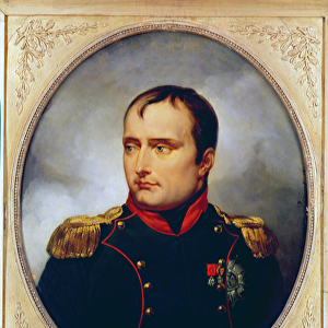 Portrait of Napoleon I (1769-1821), 1815 (oil on canvas)