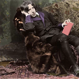 Portrait of Oscar Wilde (1854 - 1900) about 1882 by Napoleon Sarony (1821 - 1896) (photo)