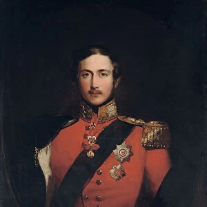 Portrait of Prince Albert, 1842 (oil on canvas)