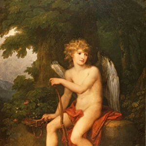 Portrait of the Prince Henryk Lubomirski as Cupid, 1786 (oil on canvas)
