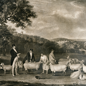 Portrait of Thomas William Coke, Esq. (1752-1842) inspecting some of his South Down sheep