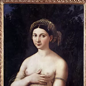 Portrait of a young lady (La Fornarina) - Oil on wood, 1520