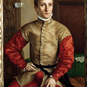 Portrait of a young man aged 18 - oil on wood, c. 1544