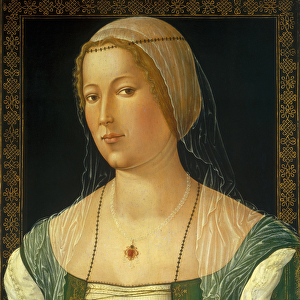 Portrait of a Young Woman, c. 1508 (oil on poplar panel)