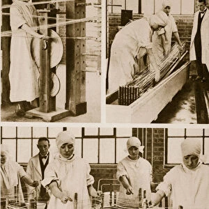 Preparing Cat-Gut at the London Hospitals own factory (sepia photo)
