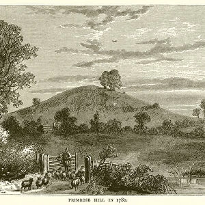 Primrose Hill in 1780 (engraving)