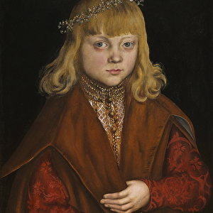 A Prince of Saxony, c. 1517 (oil on panel)