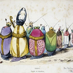 Procession of beetles wearing clerical clothes - Anticlerical Cartoon of Granville