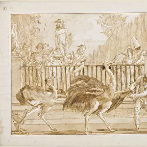 Punchinello with the Ostriches, c. 1800 (pen & light brown ink (probably bistre