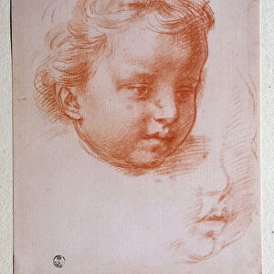 Puttos head (Drawing, 16th century)