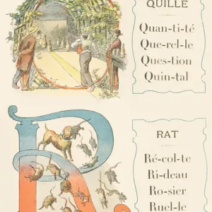 Q A: Kel, Rat Q A: Kel, Rat