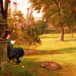 A Quiet Read
