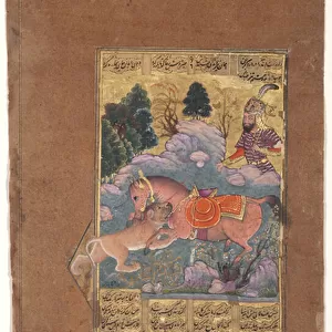 Rakhsh fights the lion to protect Rustam, c. 1610 (opaque w / c & gold on paper)