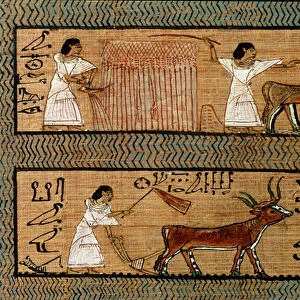 Reaping and ploughing, detail from a depiction of farming activities in the afterlife
