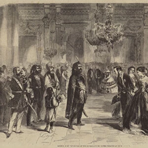 Reception by the Sultan of the Guests invited to the Theatre at Dolmabahce (engraving)
