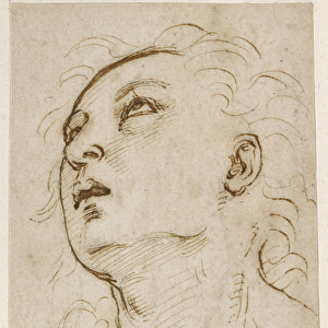 Recto: Head of a young Man gazing upwards, WA1846. 156 (pen & brown ink over blind stylus