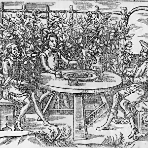 Relaxing in an arbour, 1577 (woodcut)