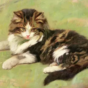 At Rest