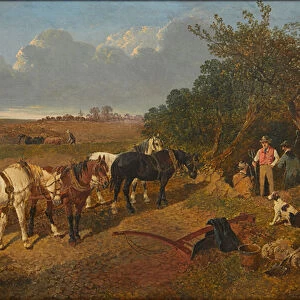 Resting the Team (oil on canvas)