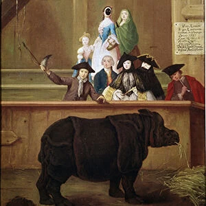 Rhinoceros: exhibition of Clara, Indian rhinoceros. Painting by Pietro Longhi (1702-1785)