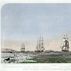 Right Whaling in Behering Straits & Arctic Ocean with its Varieties, pub. 1871 (colour lithograph)
