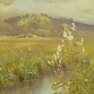 Charles Robertson