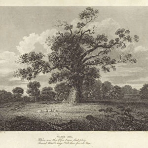 Robert Bloomfield, poet: Wakes Oak (engraving)