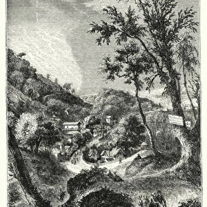 Robinson Crusoes chesnut tree (engraving)