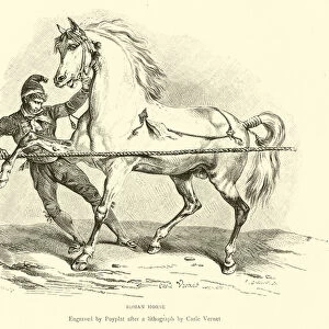Roman Horse (engraving)