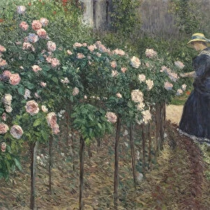 Roses, Garden at Petit Gennevilliers - Gustave Caillebotte (1848-1894)