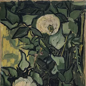 "Roses"Peinture de Vincent van Gogh (1853-1890) 1890 Van Gogh Museum, Amsterdam