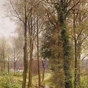 Round My House: The Mill Stream, Ockham, 1880-86 (w / c and gouache)