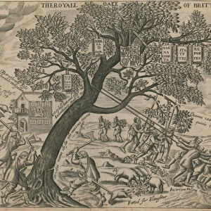 The royal oak of Britain (engraving)
