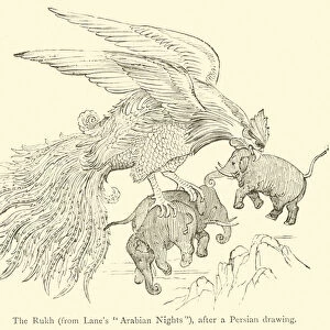 The Rukh, from Lanes "Arabian Nights"(engraving)