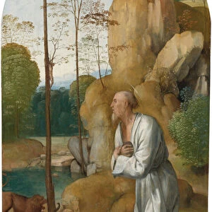 Saint Jerome dans le desert - Saint Jerome in the Wilderness par Bartolommeo