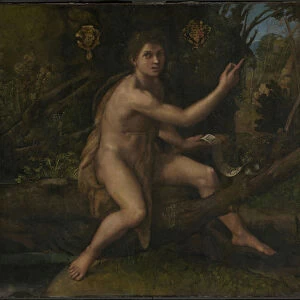Saint John the Baptist, 1519 (oil on canvas)