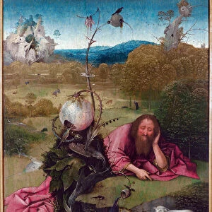 Saint John the Baptist in the desert - Painting by Jheronimus van Aken
