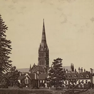 Salisbury Cathedral, from the Palace Garden (litho)