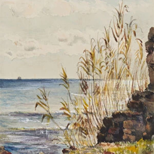 At San Remo looking over the Mediterranean, 10th January 1878 (w / c & gouache on paper)