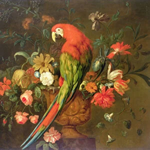 Scarlet Macaw Perched on a Sculpted Urn with Flowers (oil on canvas)
