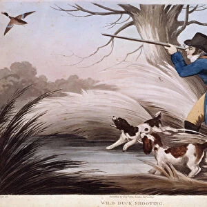 Scene of duck hunting in England. 19th century lithograph Gien, hunting museum
